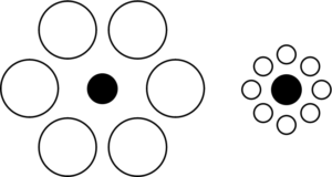 Ebbinghaus Illusion.