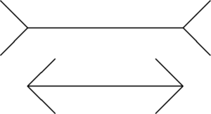 Müller-Lyer Illusion